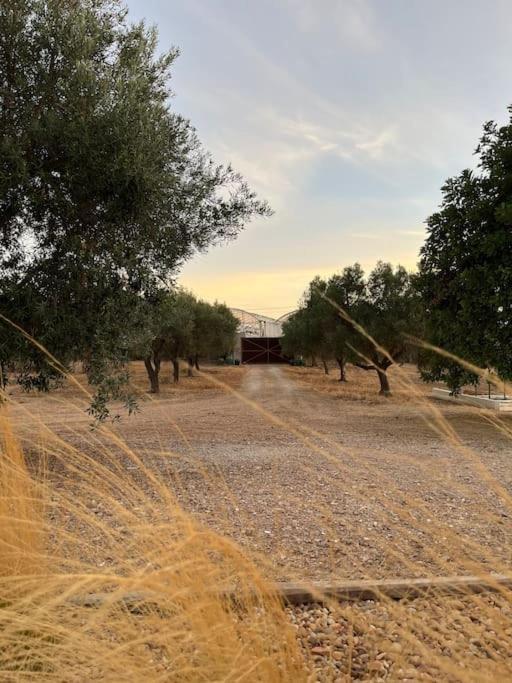 Quinta Da Alfarrobeira Peaceful Countryside Stay FAO Eksteriør bilde